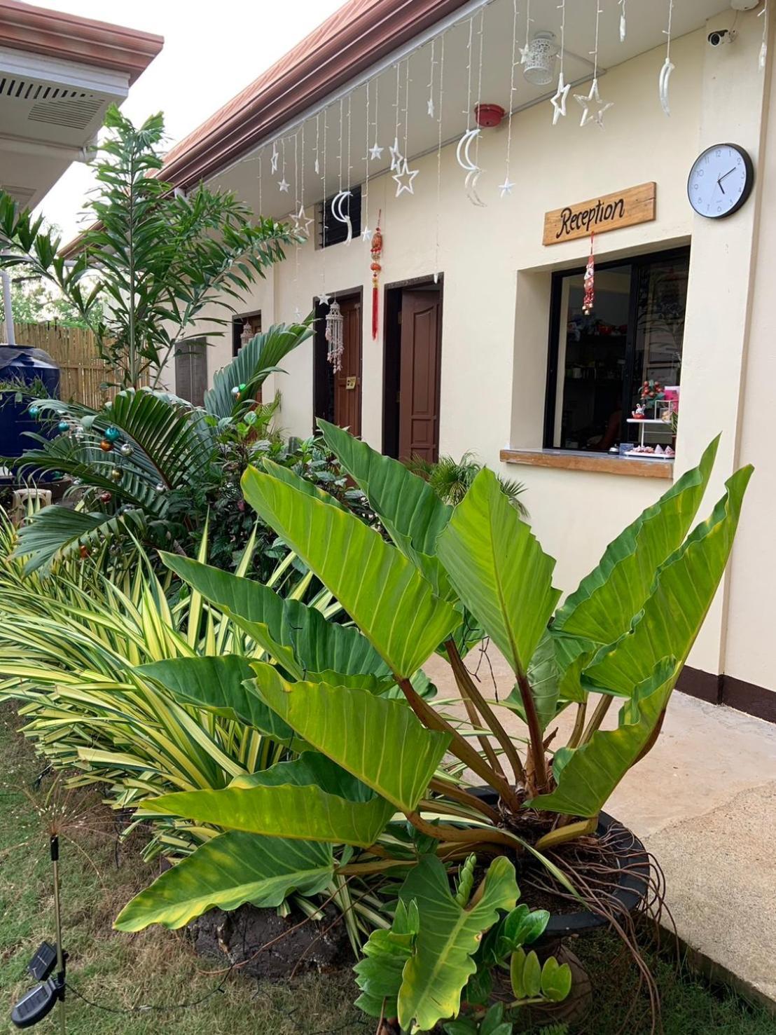 Mingche Apartment Panglao Eksteriør bilde